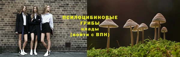 меф Дмитровск
