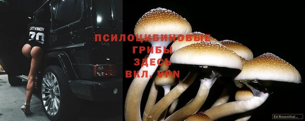 меф Дмитровск