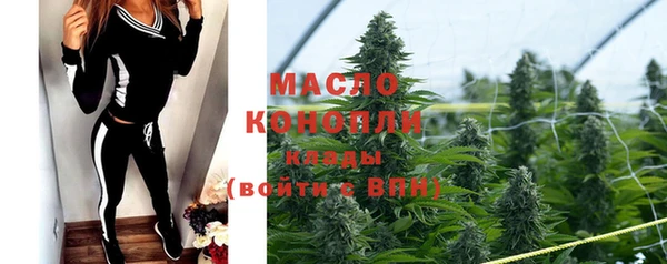 гидра Елизово