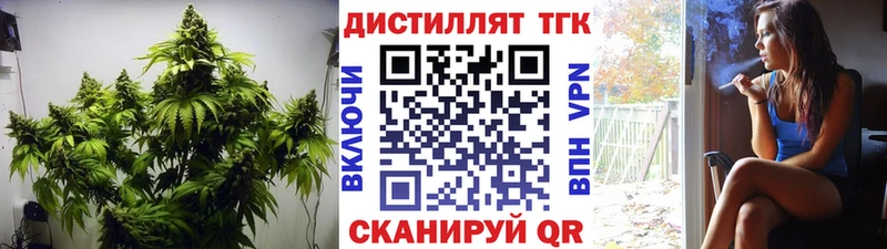 omg как войти  Калтан  Дистиллят ТГК концентрат 