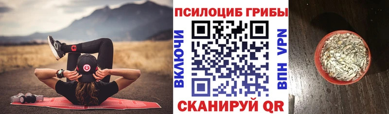 Псилоцибиновые грибы Psilocybine cubensis  Калтан 